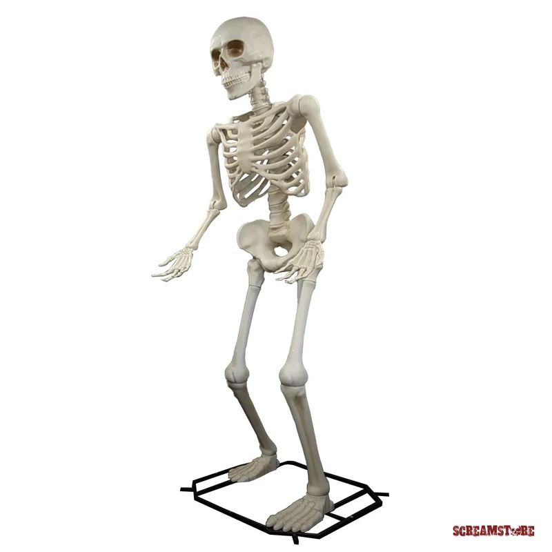 Giant Bony 3,4 Meter Skelett XXXL