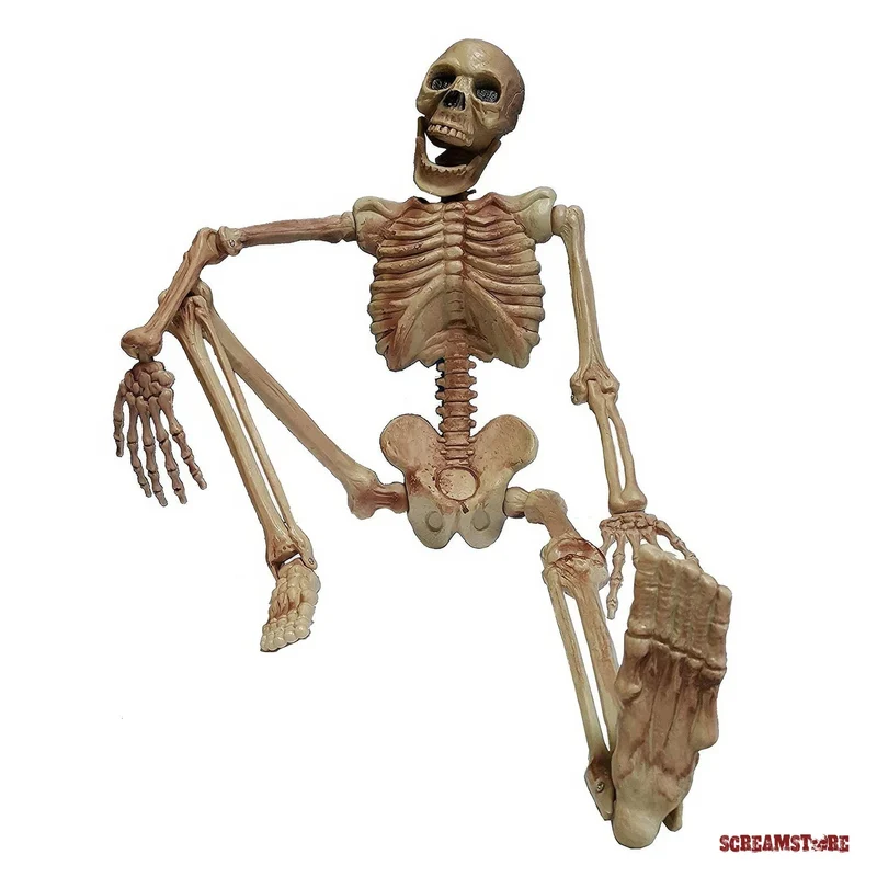 Horror Kult Skelett L Bony 1,1 Meter