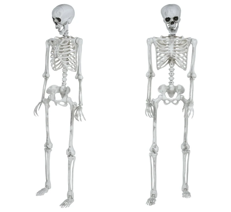 Bewegliches Halloween-Skelett, 1,4 m