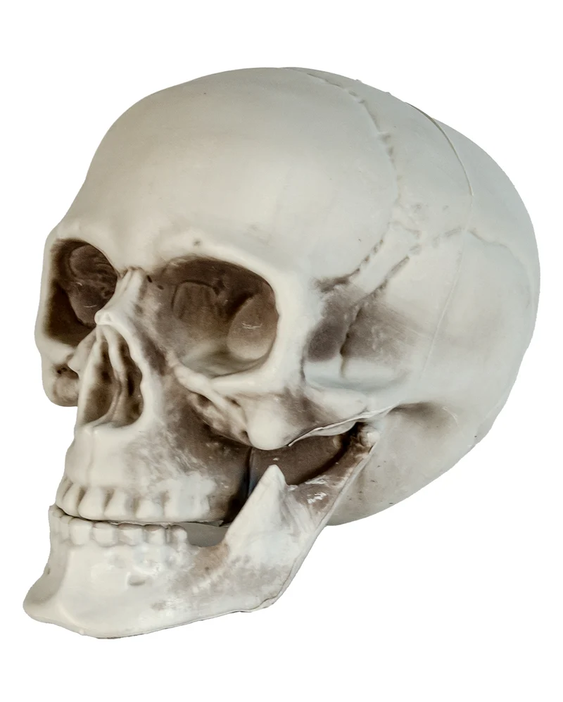 Wetterfester Totenkopf mit beweglichem Kiefer 20cm