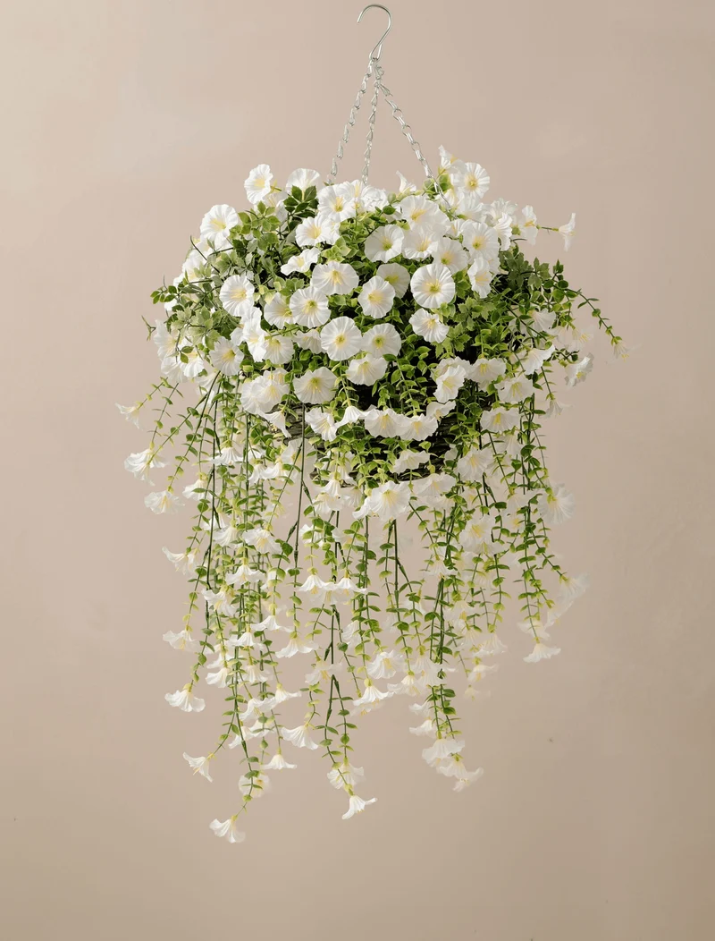 Outdoor Hanging Petunia Basket - White