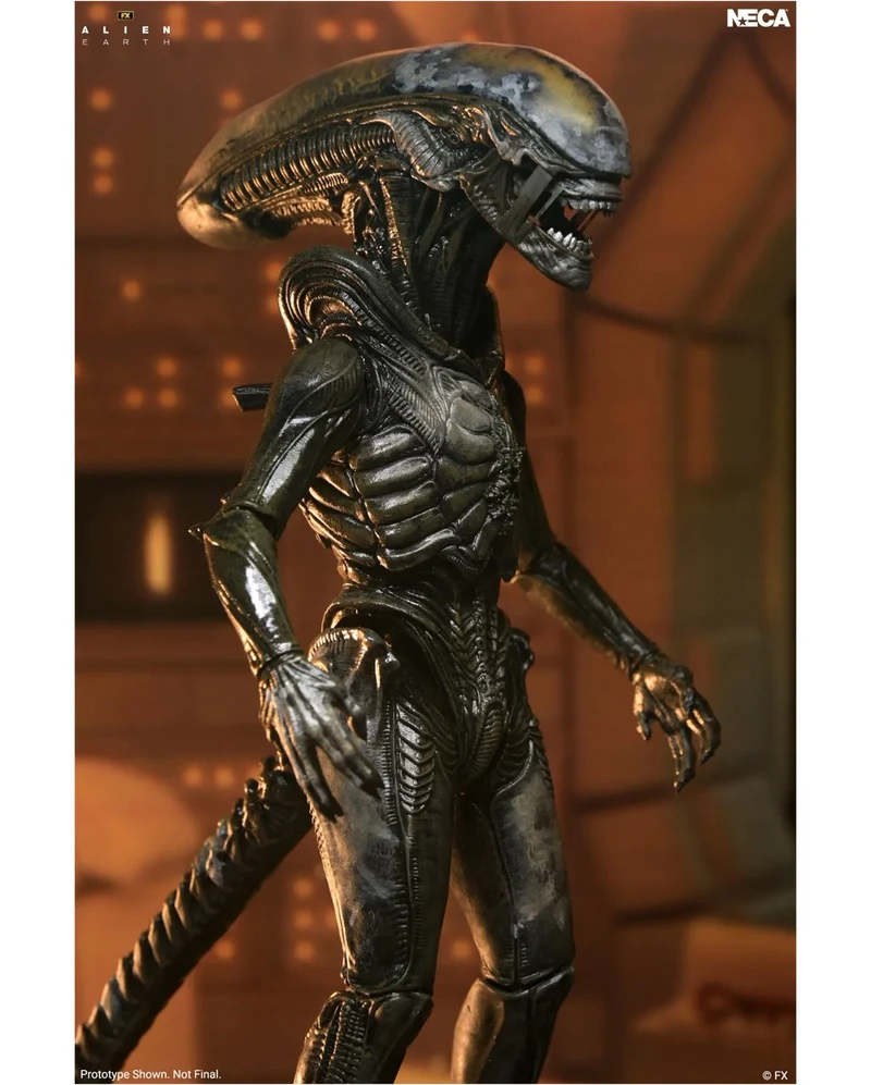 Alien Earth Wendy Xenomorph Ultimate Action Figure 18cm