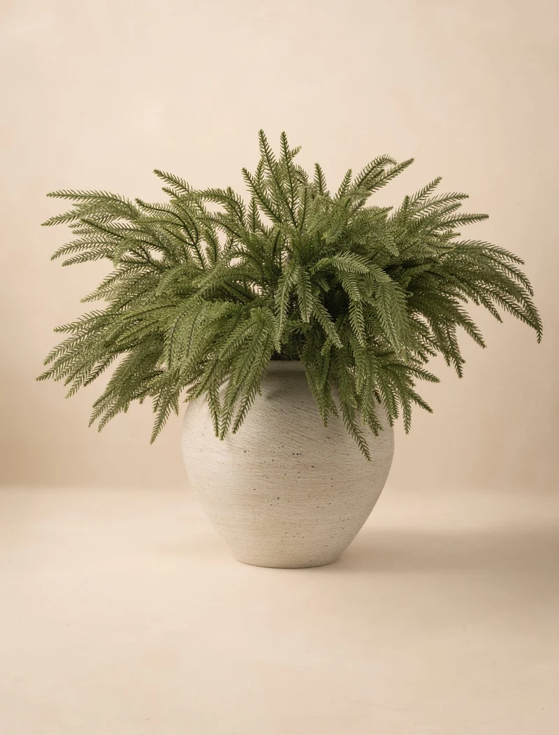 Faux Norfolk Pine (5 Stems)