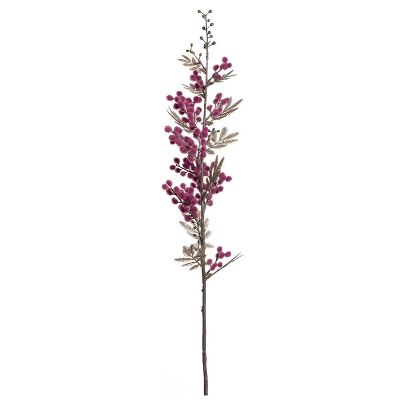 Mimose PALAZZO 70 cm viola