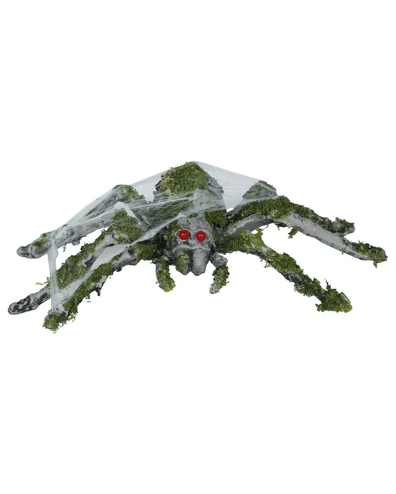 Graue Fäulnisspinne mit Moos 22cm