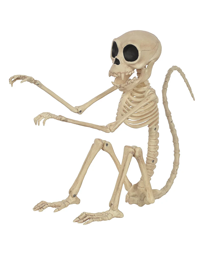 Skelett Affe 24cm