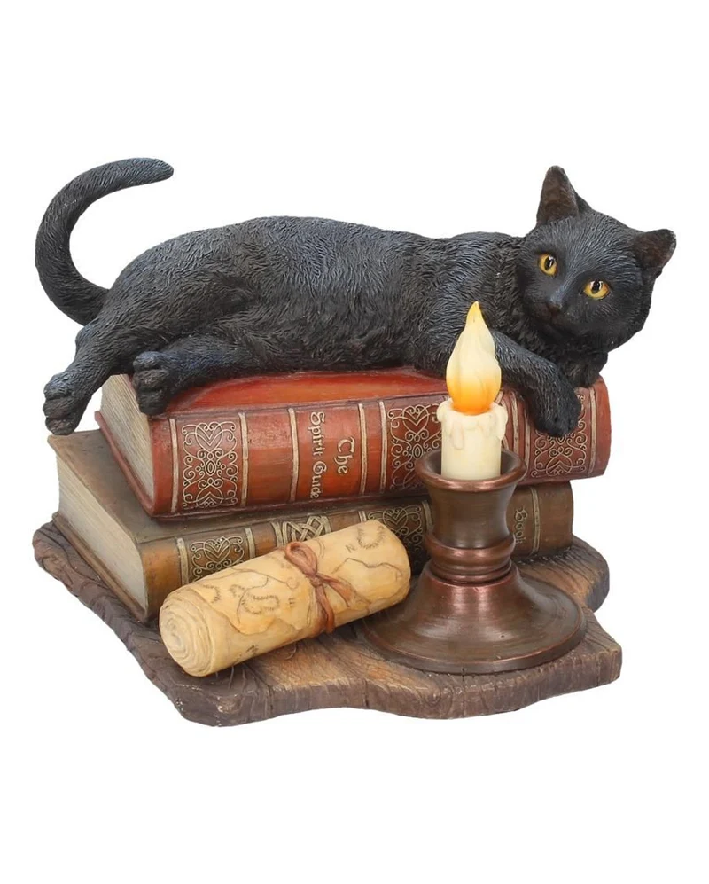 Schwarze Katze mit Zauberbüchern 20,5cm
