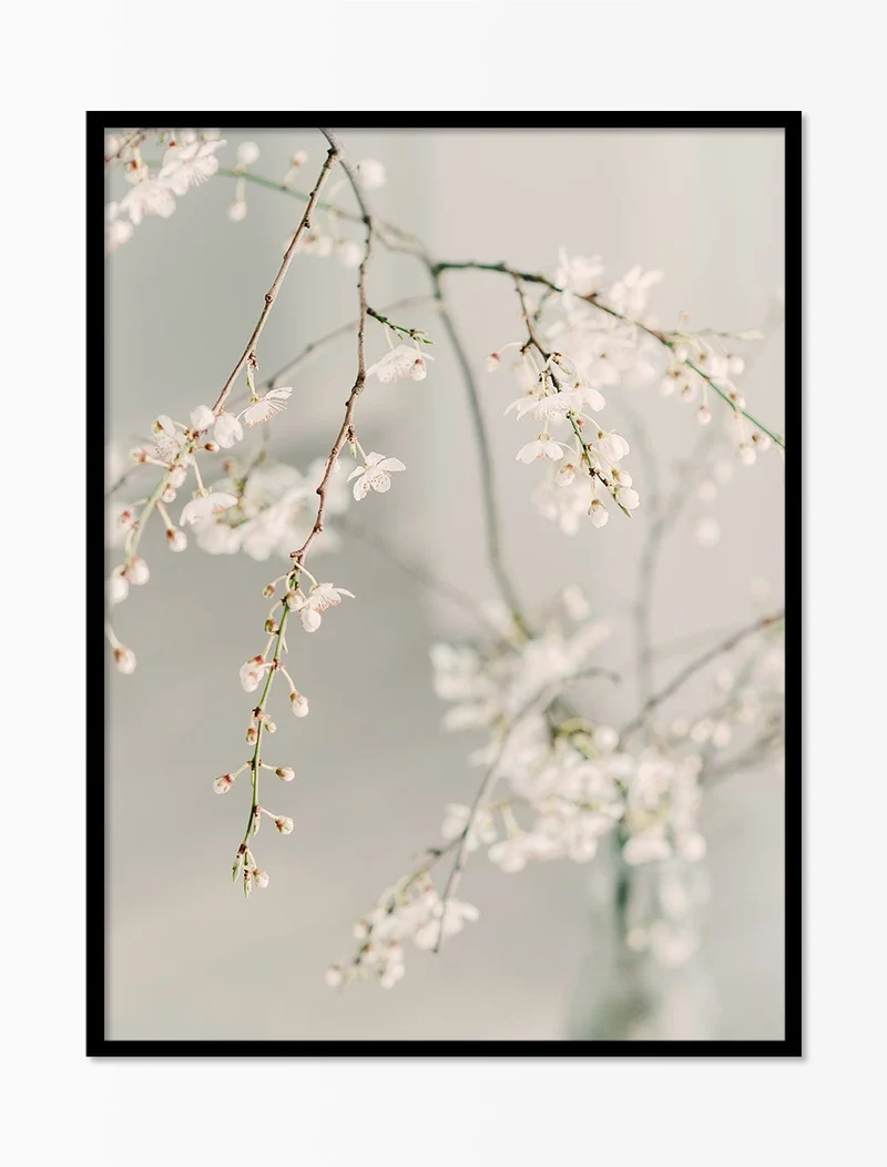 Blossom Art