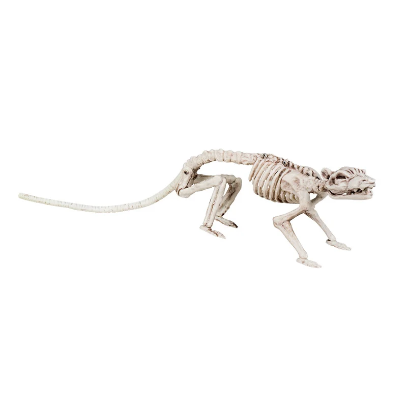 Rattenskelet Decoratie - Halloweenversiering 38 x 8 x 9 cm