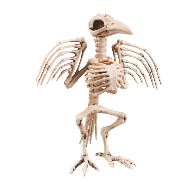 Decoratief Kraaienskelet - Halloweenversiering