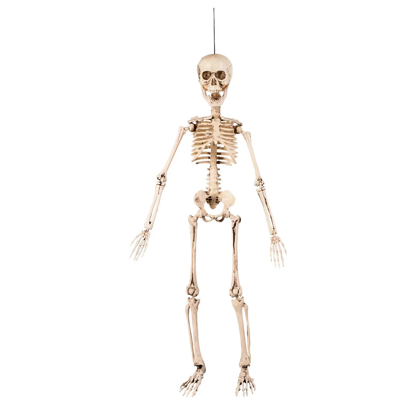 Beweegbaar Skelet Halloween Decoratie