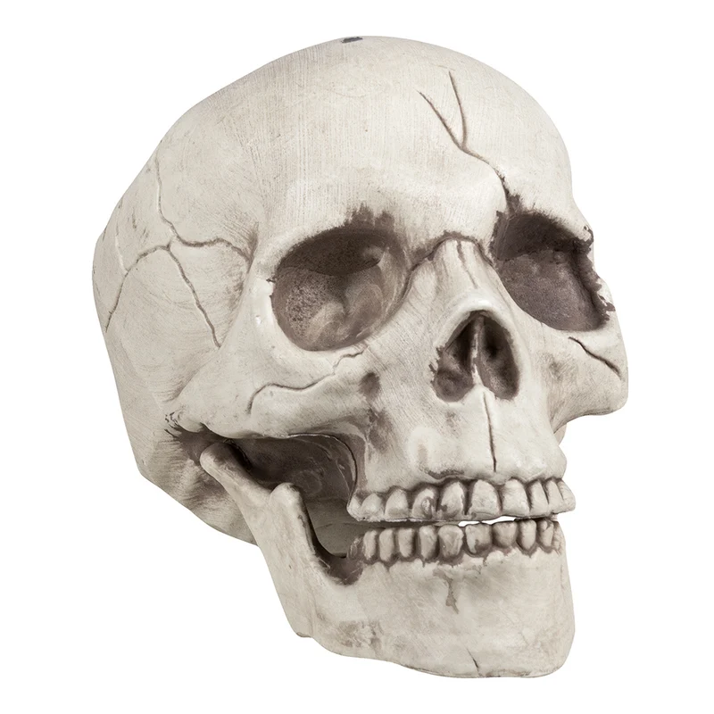 Schedel Jawbone – Halloween Decoratie met Beweegbare Kaak