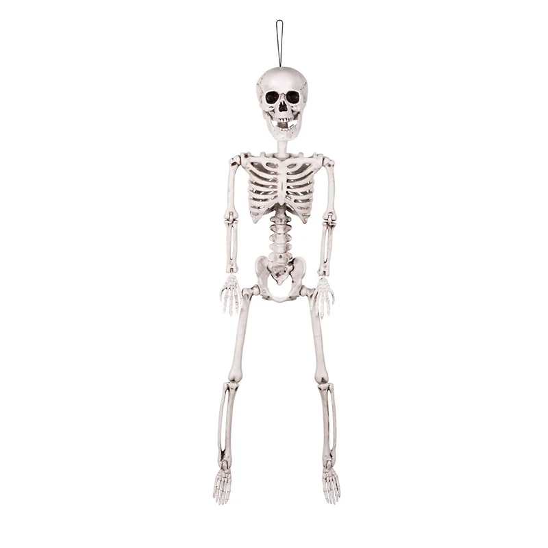 Beweegbaar Mini-Skelet – 60 cm Halloween Decoratie
