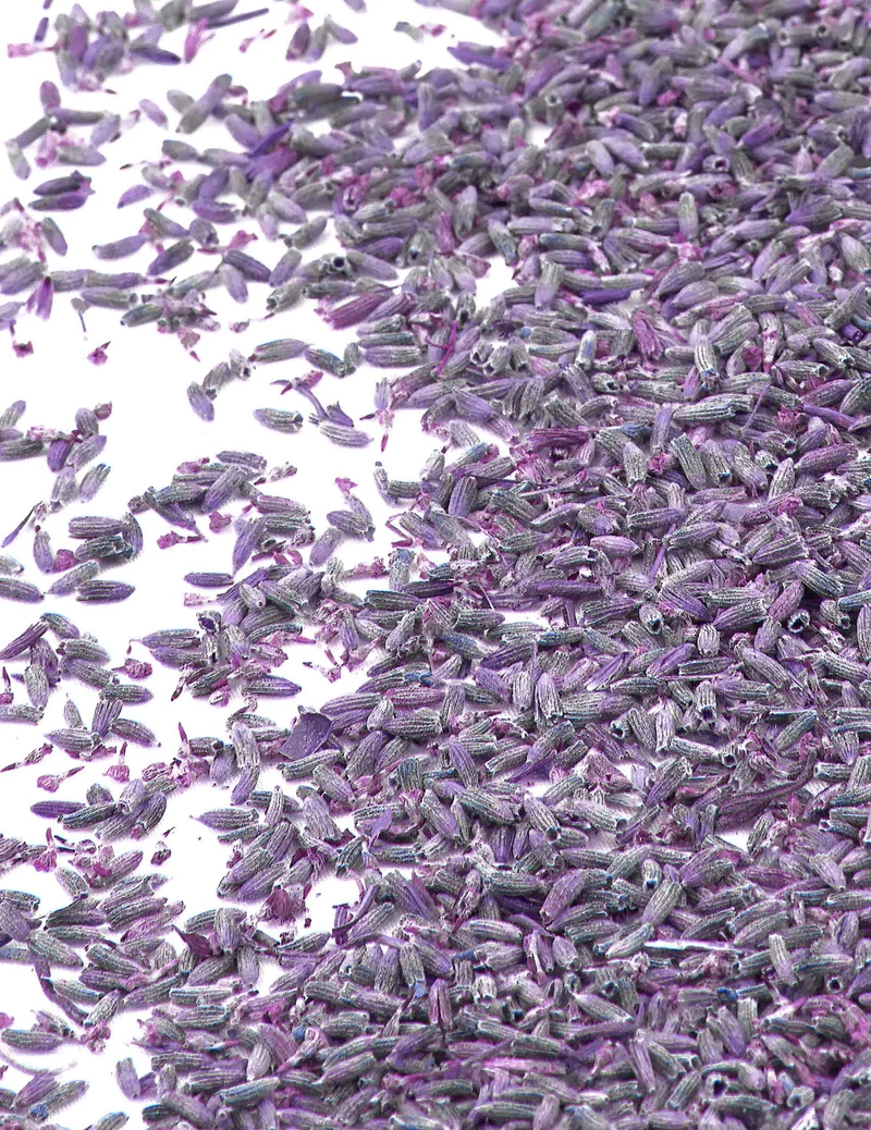 Sachet mit 1kg natürlichen Lavendelblüten für Hochzeiten