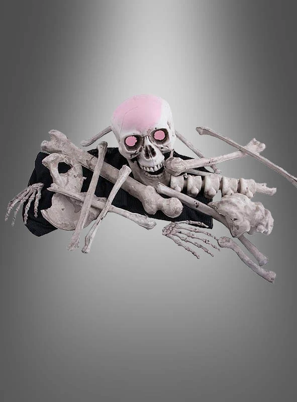 Menschliche Skelett Knochen Set mit LED Schädel