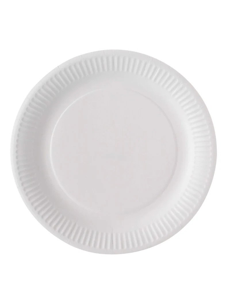 100 weiße Pappteller 23 cm plastikfrei