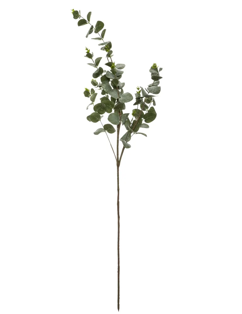 Eukalyptuszweig 98 cm Naturdekoration
