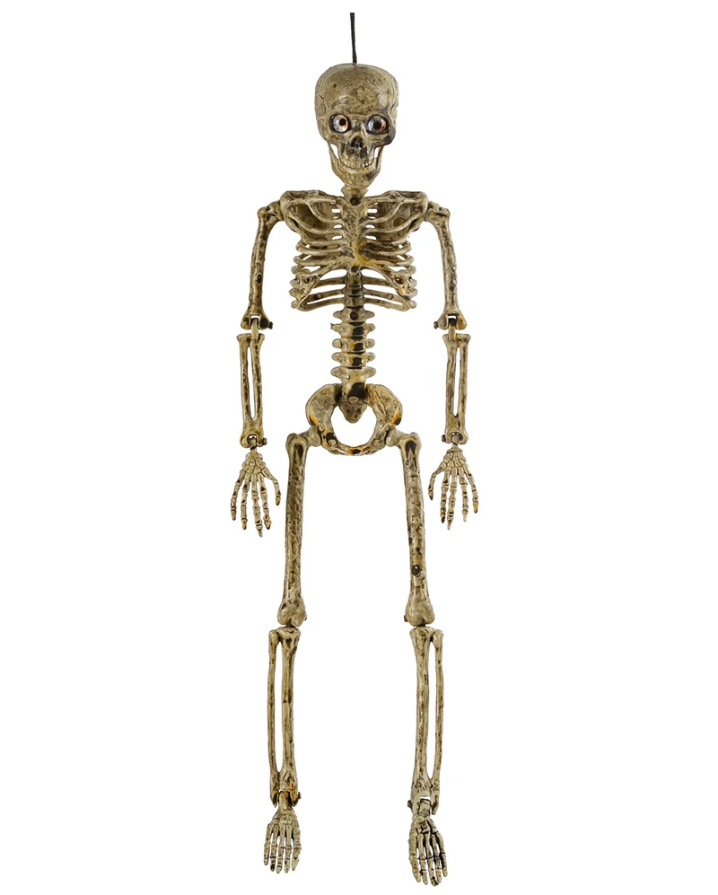 Verrottetes Positionierbares Skelett mit Augen 37cm