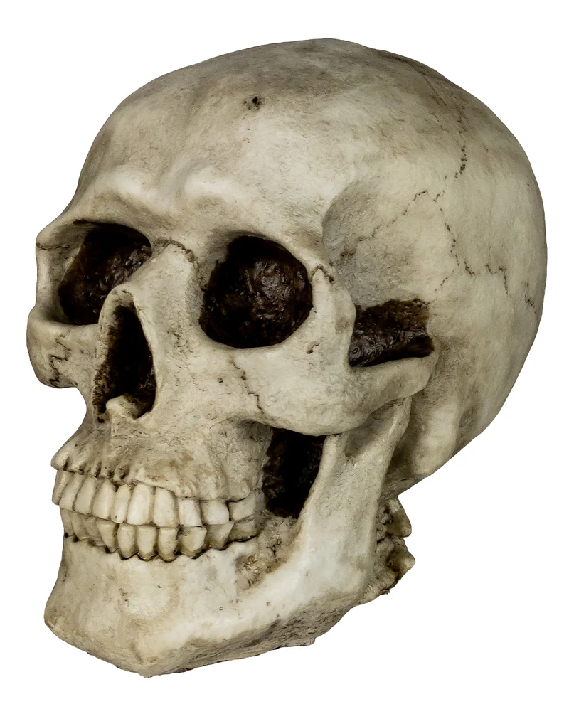 Totenkopf Spardose 19cm