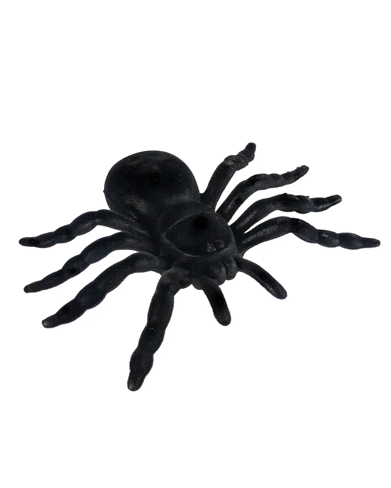 Riesige schwarze Spinne 16cm