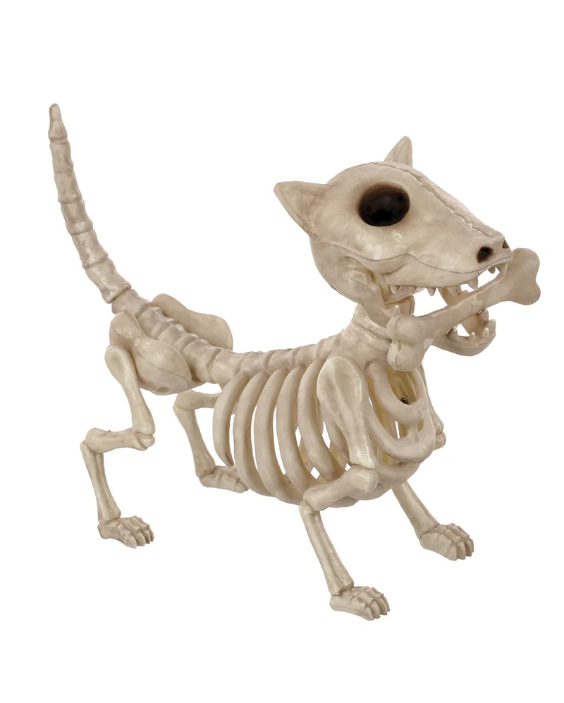 Hunde Skelett mit Knochen 27cm