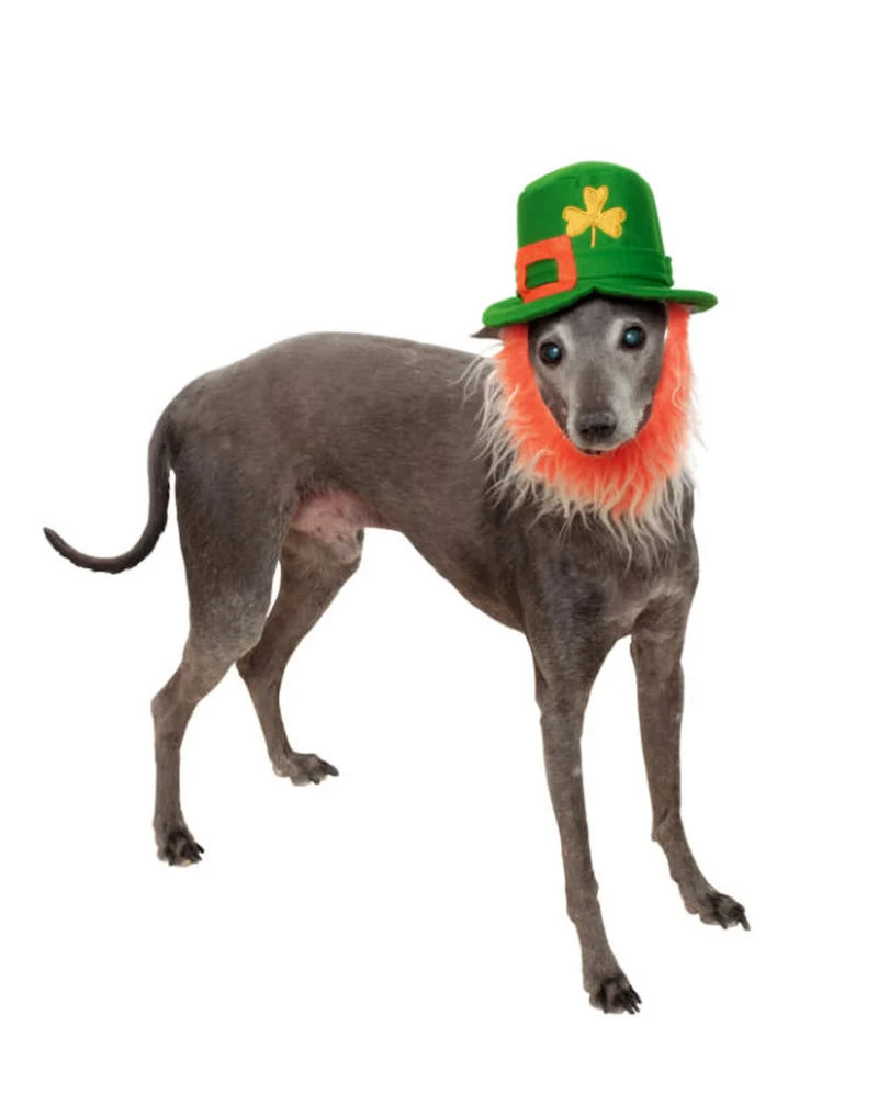Leprechaun Hut mit Bart für Hunde
