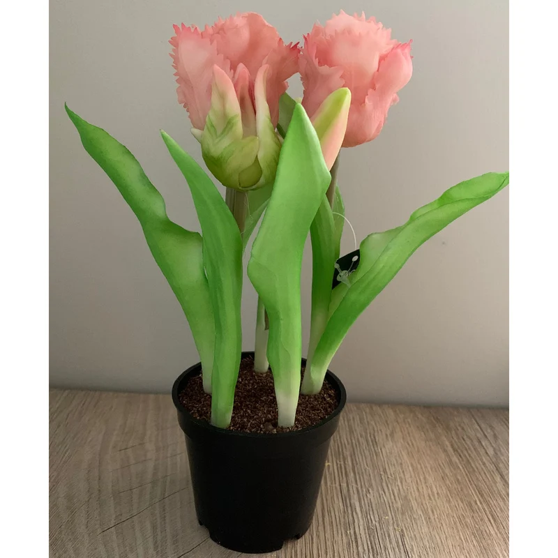 Tulpentopf „Barbados“ rosa