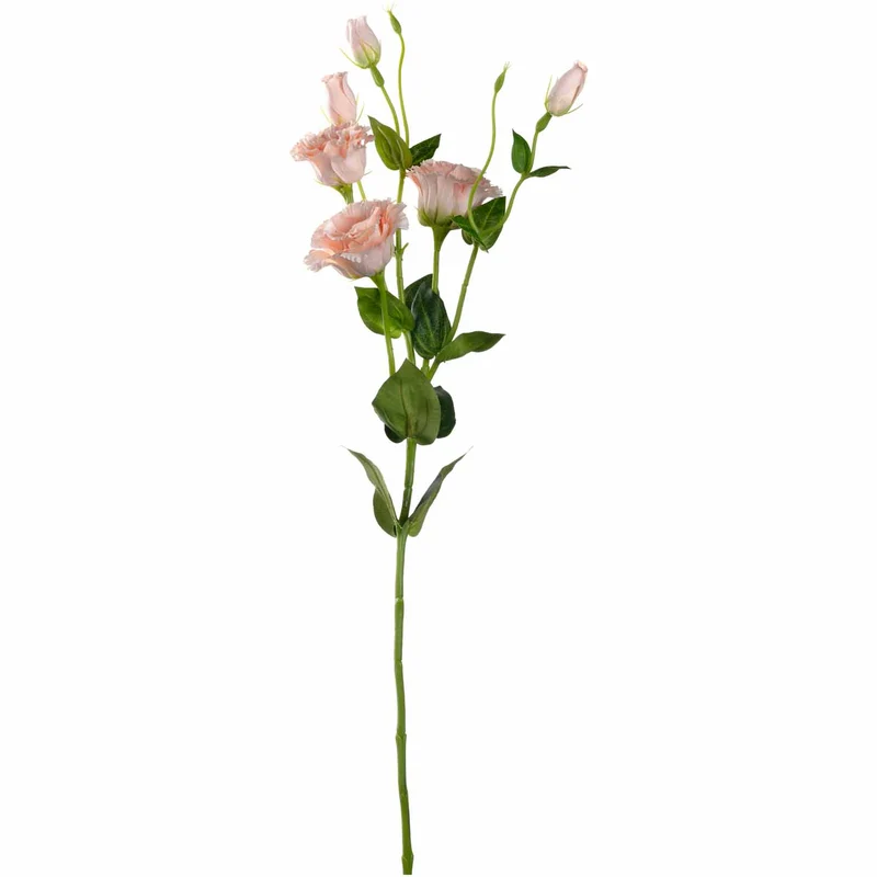Lysianthus FIORE 78 cm apricot