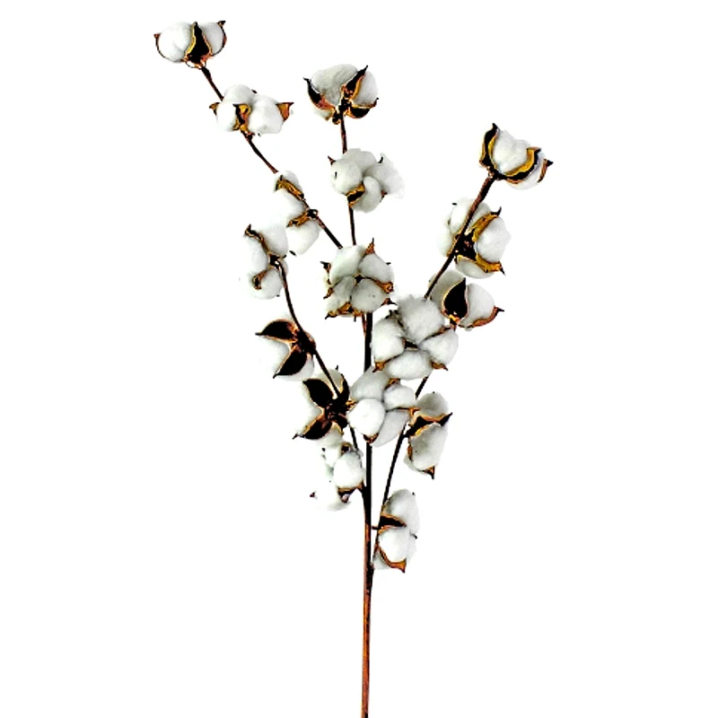 Bauwoll-Kugel-Zweig, 97 cm Gross mit 18 Blüten