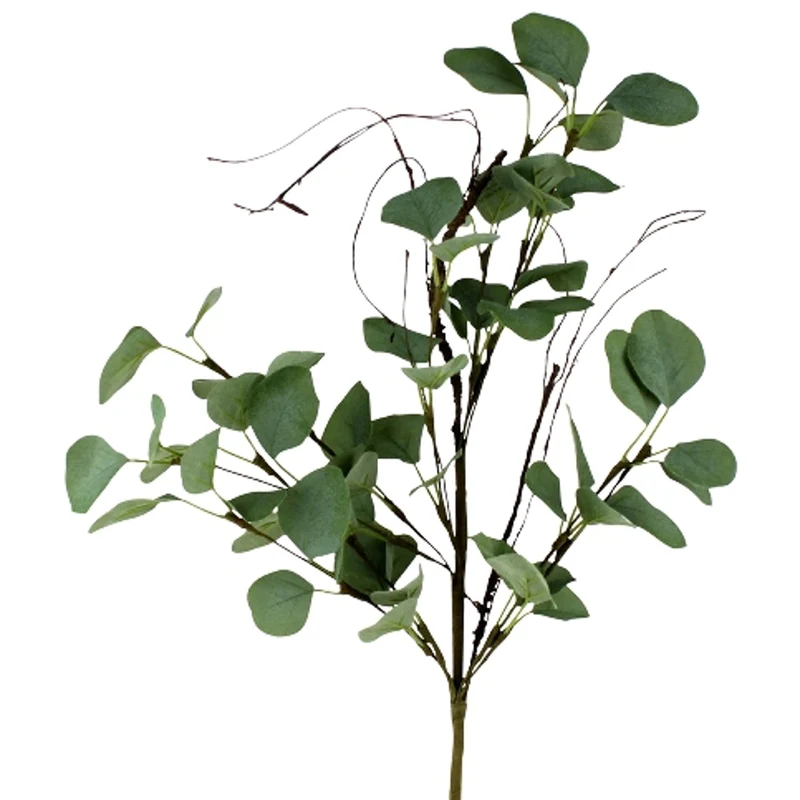 Eykalyptus Zweig, Dekozweig 60 cm Lang