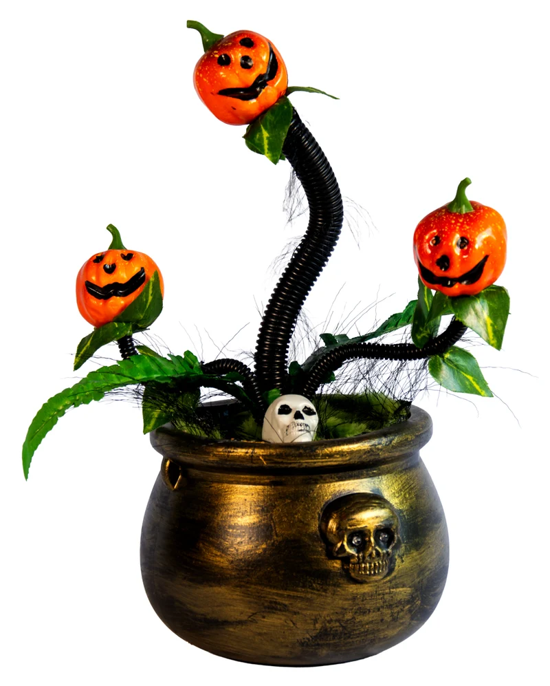 Verhexte Kürbis Pflanze mit Beleuchtung, Sound & Bewegung 37cm