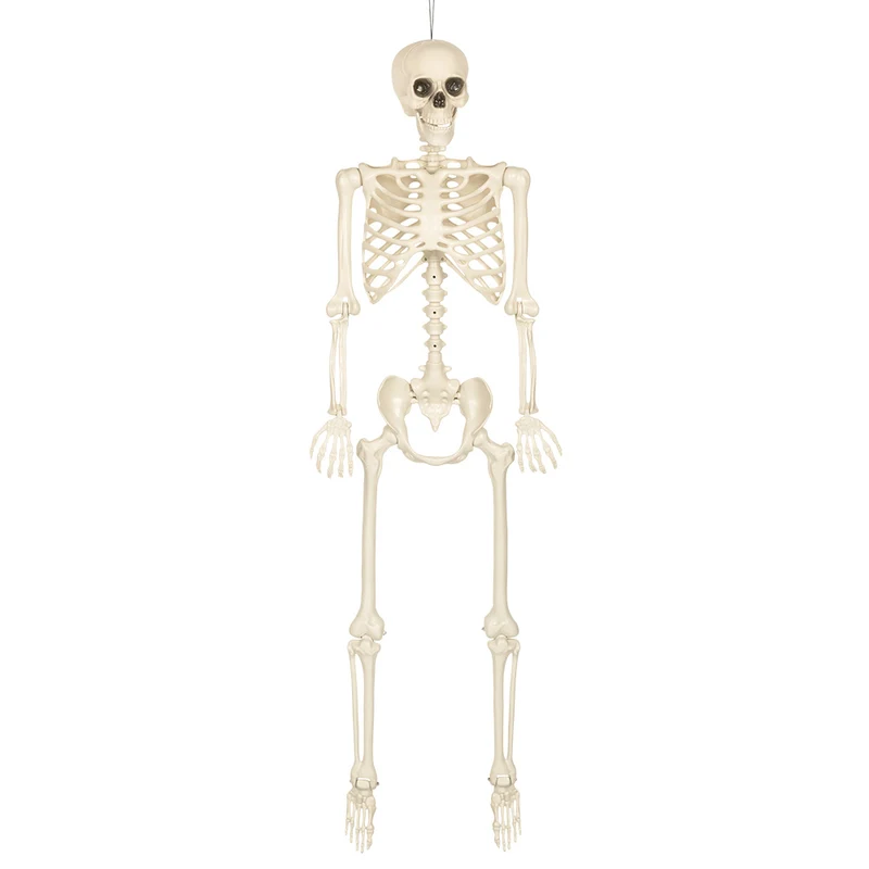 Halloween Decoratie Skelet 160 cm – een griezelige Halloween klassieker