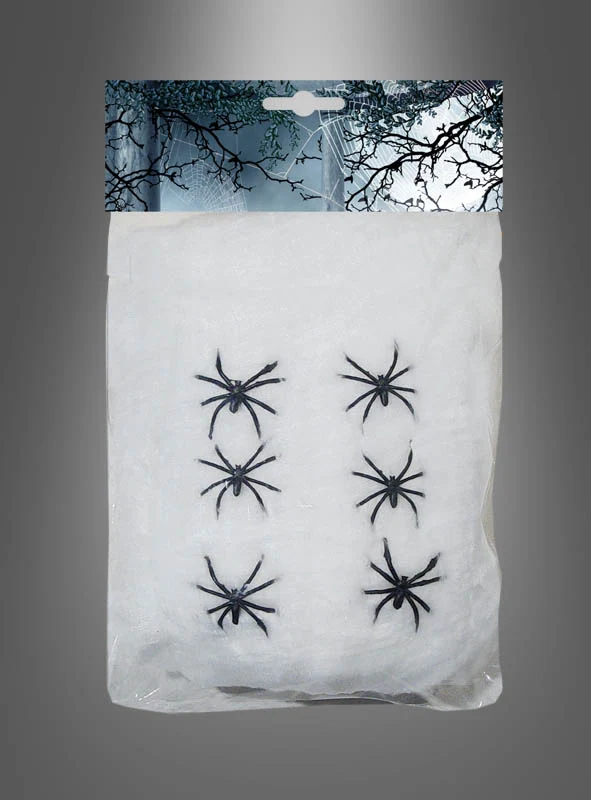 Spinnennetz Deko 100g mit Spinnen