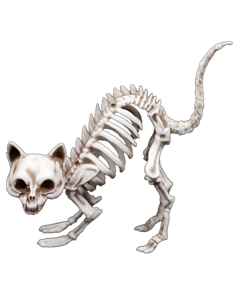 Skelett Katze mit Katzenbuckel als Deko 19cm