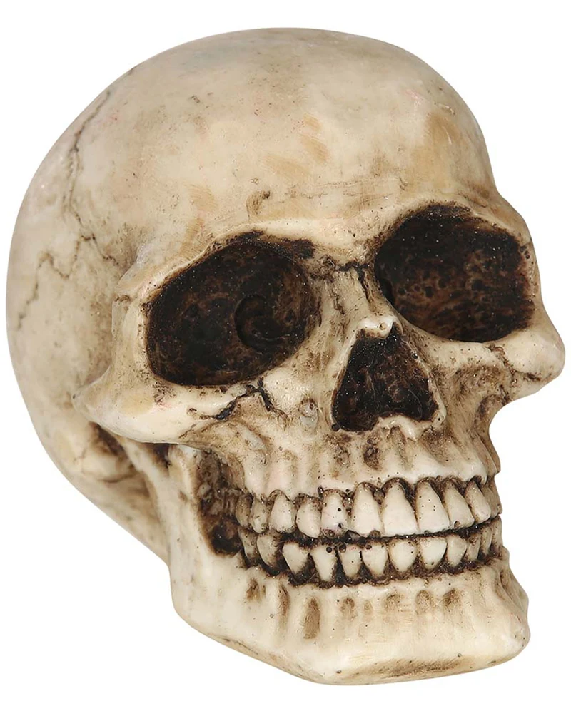 Kleiner Deko Totenschädel 8cm