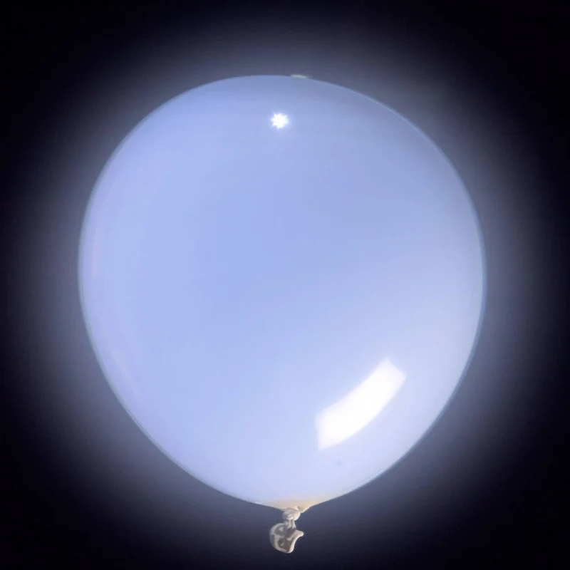LED Ballon Wit (5 stuks)