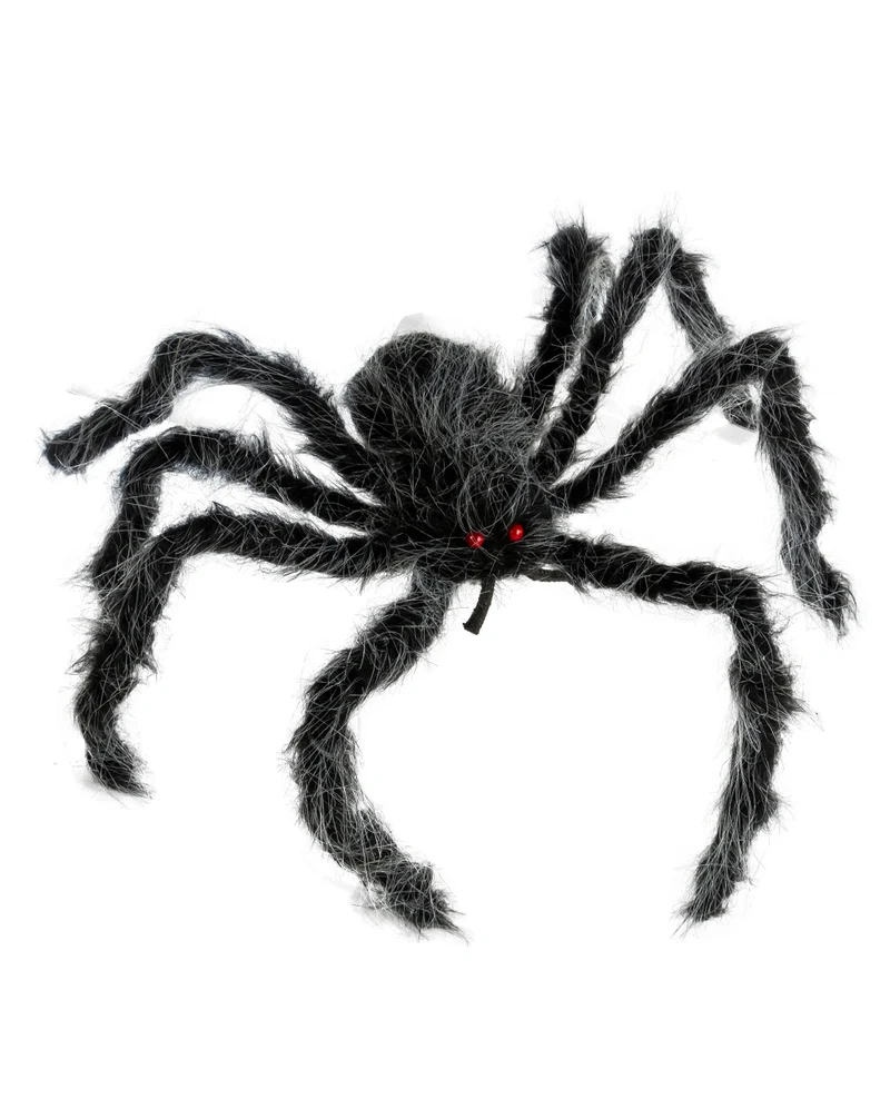 Haarige Spinne Grau-Schwarz Meliert