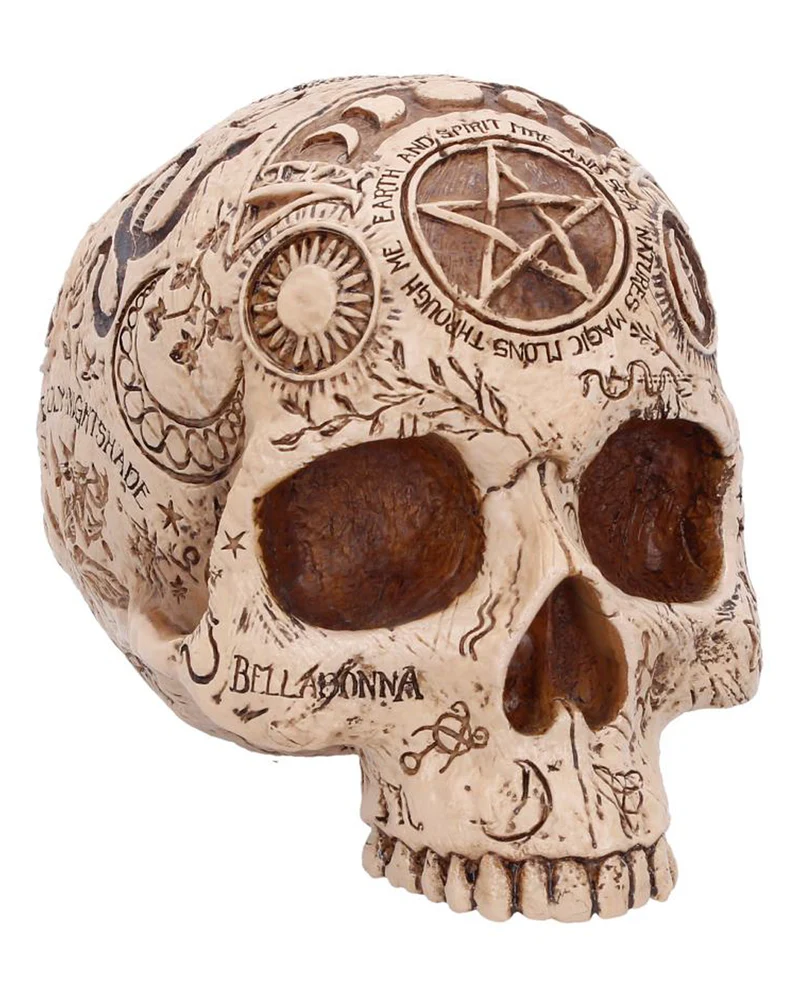 Apothecary Totenschädel 14cm