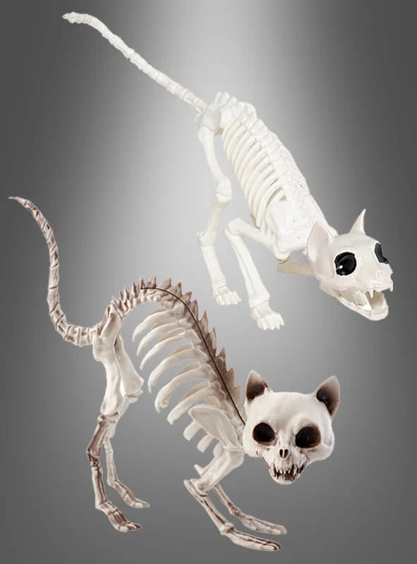 Halloween Skelett Katze