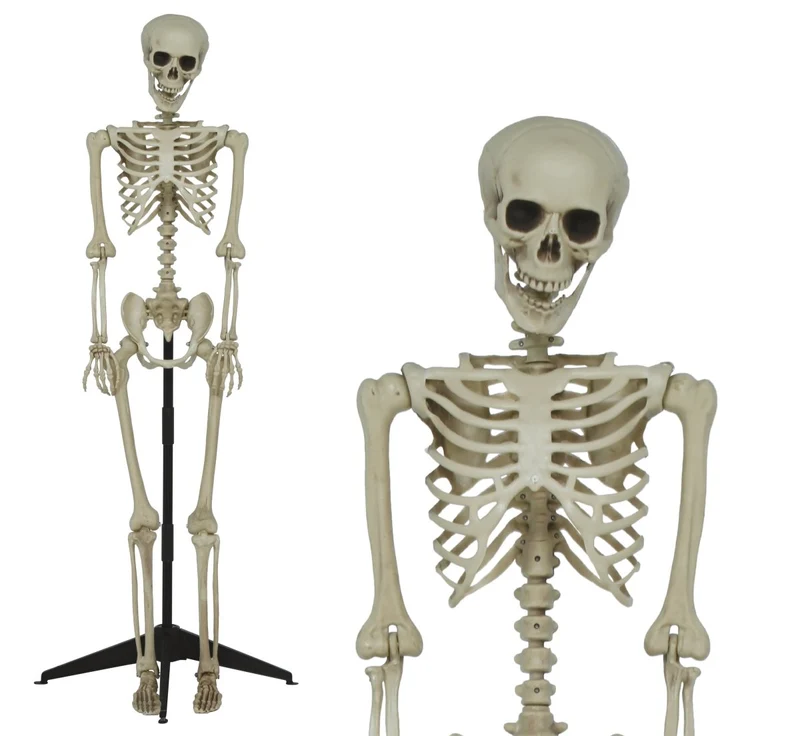 Halloween-Skelett auf Ständer, 1,55 m