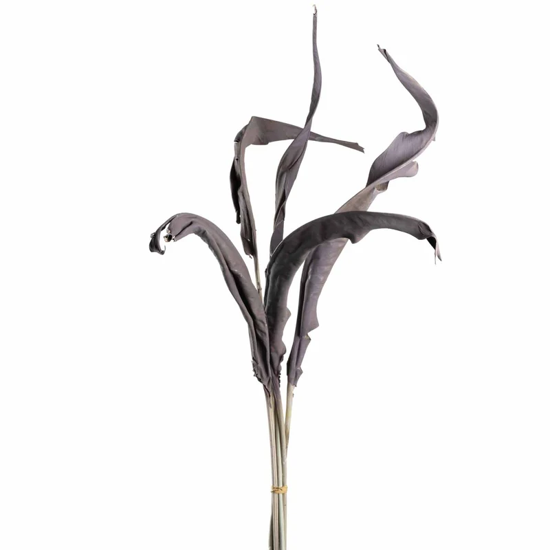 Strelizienblätter FIORE 80 cm taupe 5er-Set