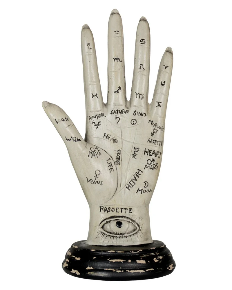 Palmistry Wahrsage Hand mit Vintage Sockel 20cm
