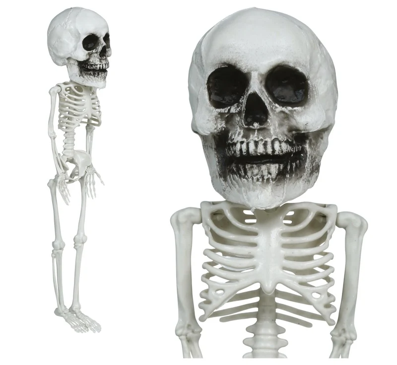 Halloween-Skelett zum Aufhängen, großer Kopf, 40 cm