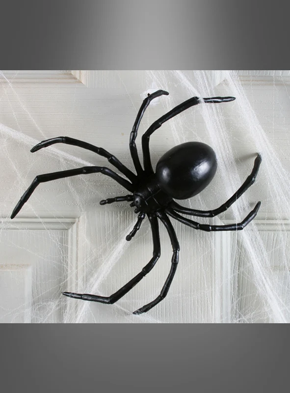 Übergroße Schwarze Witwe Spinne 15cm