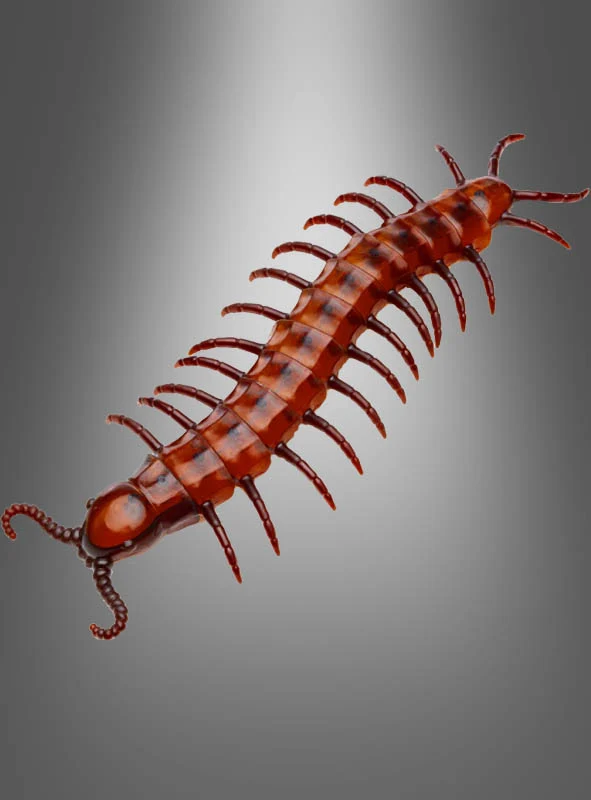 Riesiger Tausendfüßler 45cm