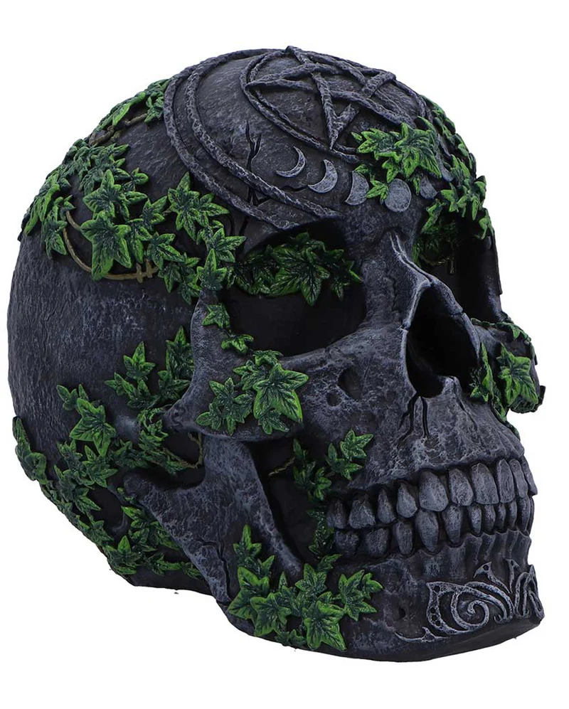 Antiker Pentagramm Totenkopf mit Efeu 19cm