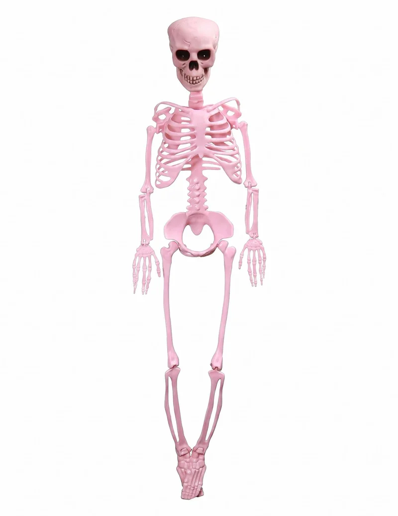 Bewegliches Gelenk-Skelett Summerween in Pink - 1m