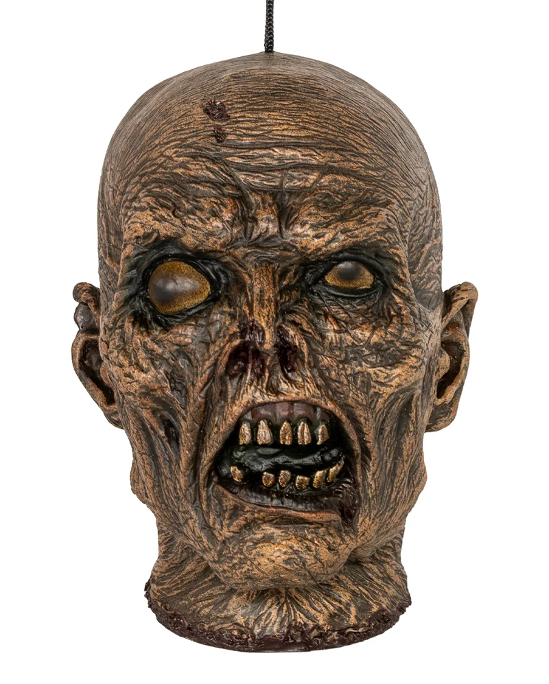 Mumifizierter Menschenkopf 23cm