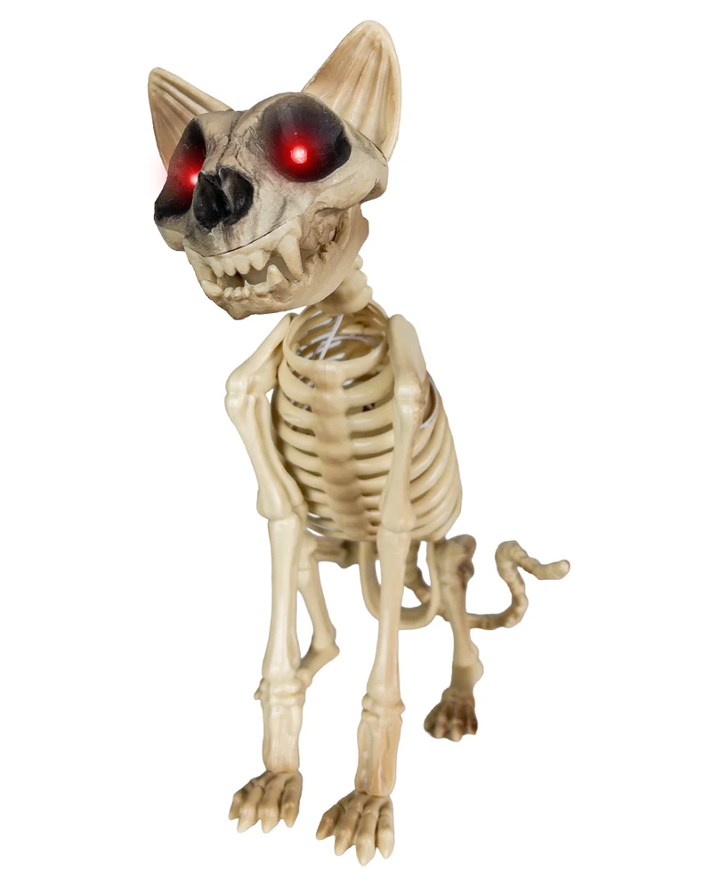 Skelett Katze mit Bewegung, Licht & Sound 34cm