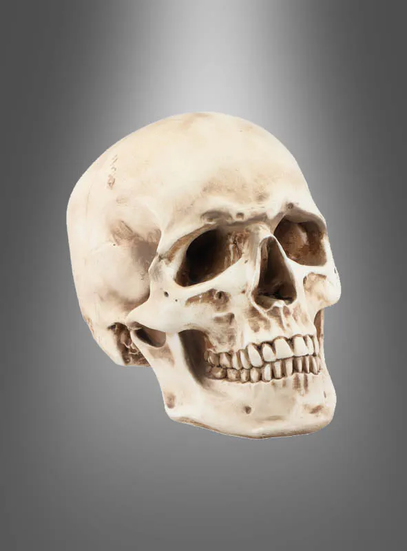Massiver Totenkopf 21cm deluxe Polyresin